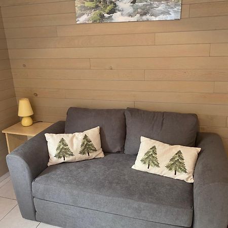 Appartement Au Centre Ville. Cauterets Exterior foto